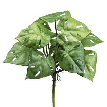 Artificial plant Philodendron Monstera Adansonii SHIBE, spike, 11"/29cm