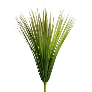 False plant Cordyline indivisa PRUT, spike, green, 28"/70cm