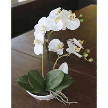 Decorative Phalaenopsis orchid ZARMINAH in ceramic bowl, white, 14"/35cm