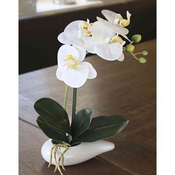 Decorative Phalaenopsis orchid ZARMINAH in ceramic bowl, white, 12"/30cm