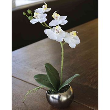 Decorative Phalaenopsis orchid ZARMINAH in ceramic pot, white, 12"/30cm