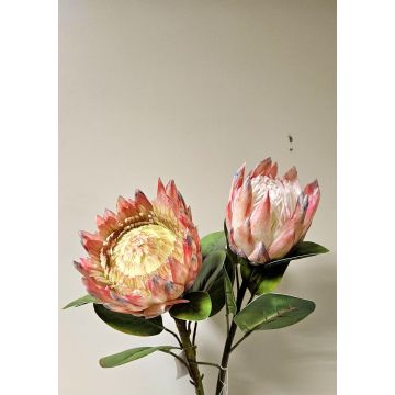 Decorative flower branch King protea TANIEKA, pink-white, 26"/65cm