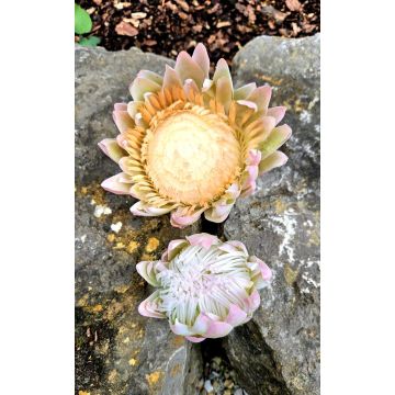 Decorative flower branch King protea TANIEKA, green-pink, 26"/65cm