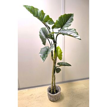 Artificial Colocasia YORICK, green, 6ft/180cm