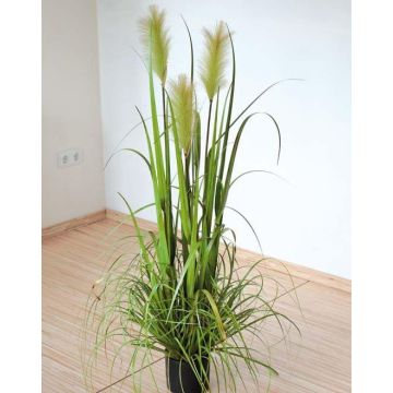 Decorative pampas grass TALINDA with panicles, green, 4ft/120cm