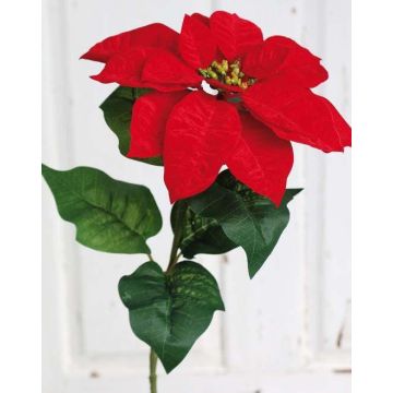 Velvet poinsettia LIBASSE, red, 26"/65cm