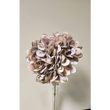 Artificial flower Hydrangea MANDISA, beige-pink, 26"/65cm