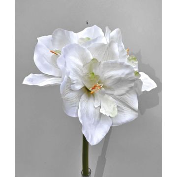 Decorative amaryllis MARKUNO, cream-white, 24"/60cm