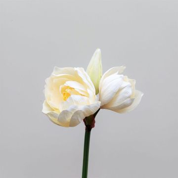 Artificial amaryllis MAURINE, cream-yellow, 31"/80cm