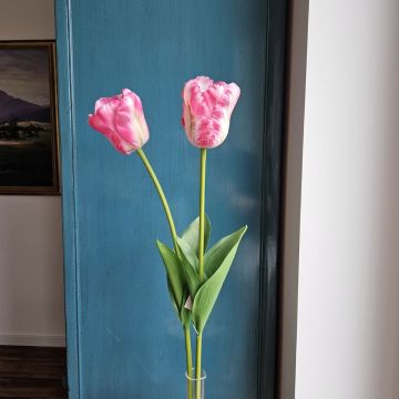 Plastic flower Parrot tulip PETSCHORA, dark pink-cream, 26"/65cm