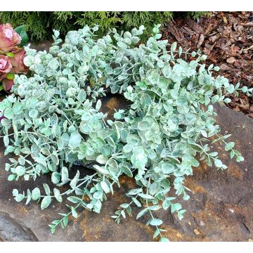 Artificial eucalyptus wreath JULERTE, green-grey, Ø16"/40cm