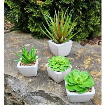 Decorative Echeveria gibbiflora KATNISS, ceramic pot, green, 2.4"/6cm