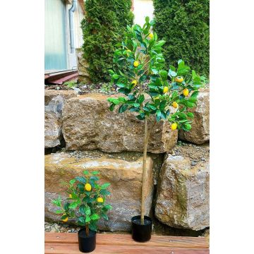 Artificial lemon tree AINSLEY with fruits, artificial trunk, 7ft/200cm