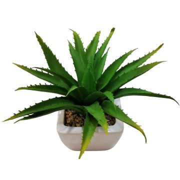 Decorative aloe vera KATNISS, ceramic pot, green, 7"/19cm