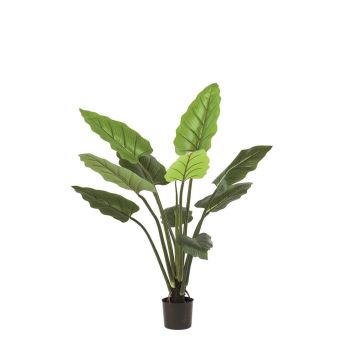 Artificial Calathea Rufibarba NUSAKAN, green, 4ft/120cm