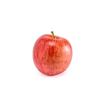 Artificial fruit Apple ATINDO, red-orange, 3.5"/9cm