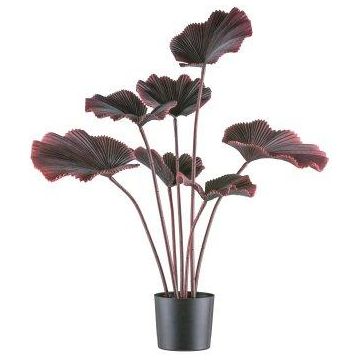 Artificial licuala palm GRAVO, dark red, 3ft/100cm