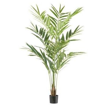 Artificial date palm FIONAE, 6ft/190cm