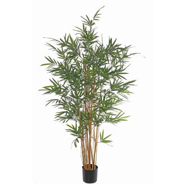 Artificial bamboo LUCINE, real stems, crossdoor, 6ft/170cm