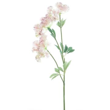 Decorative sprig of wild carrot FLAWA, pink-green, 26"/65cm