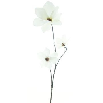 Artificial branch Magnolia MAZANA, cream, 31"/80cm