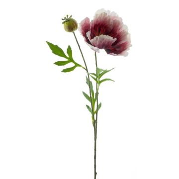 Decorative poppy EDESSA, fuchsia-white, 31"/80cm