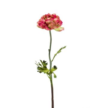 Faux flower Ranunculus ELORIO, pink-green, 20"/50cm