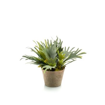 Artificial staghorn fern ALATOZ in terracotta pot, green, 14"/35cm