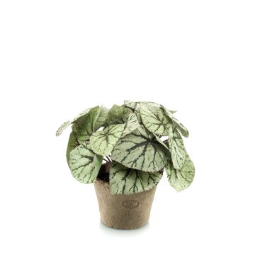 Artificial painted-leaf begonia MEIRA in terracotta pot, bushy, green-grey, 10"/25cm