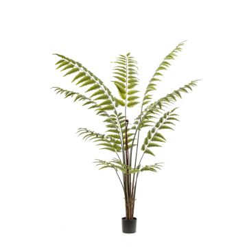 Artificial leatherleaf fern tree ANKOCA, green, 6ft/180 cm