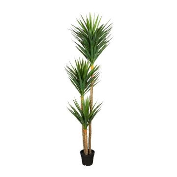 Artificial palm tree Yucca elephantipes TREDO, 8ft/250cm