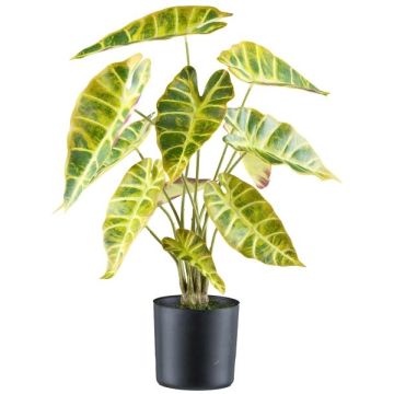 Artificial plant Alocasia longiloba NELMO, green-yellow, 22"/55cm