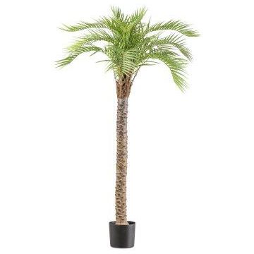 Artificial Acrocomia aculeata palm HADLEY, 6ft/175cm