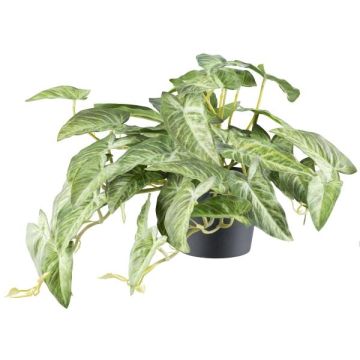 Artificial hanging plant Alocasia zebrina variegata KLUVY, green-cream, 16"/40cm