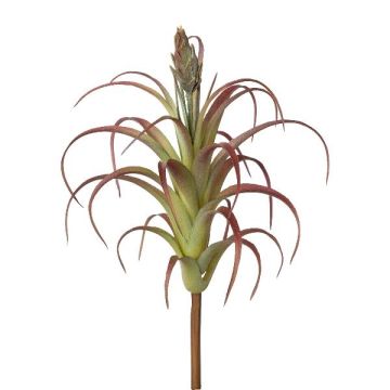 Artificial succulent Tillandsia stricta KROST, spike, flower, green-red, 9"/23cm