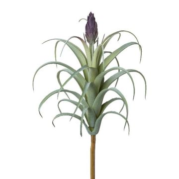 Artificial succulent Tillandsia stricta KROST, spike, flower, green-purple, 9"/23cm