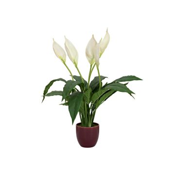 Artificial flower Spathiphyllum AYASHA with blossoms, ceramic pot, white, 24"/60cm