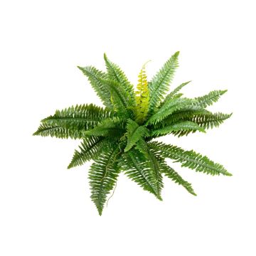 Artificial Boston fern MANON, spike, green, 20"/50cm