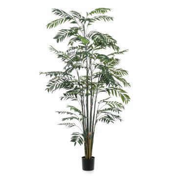 Decorative bamboo palm MERIEL, 8ft/245cm