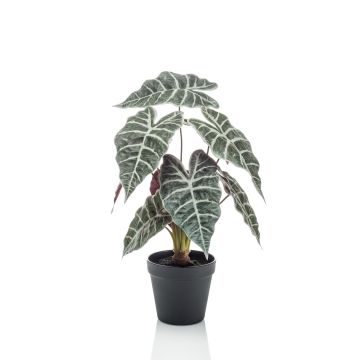 Artificial Alocasia Sanderiana UTHER, green-white, 16"/40cm