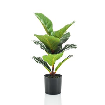 Artificial Ficus Lyrata EMILIANA, green, 22"/55cm