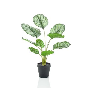 Artificial Calathea Orbifolia FILOMEA, green-white, 18"/45cm