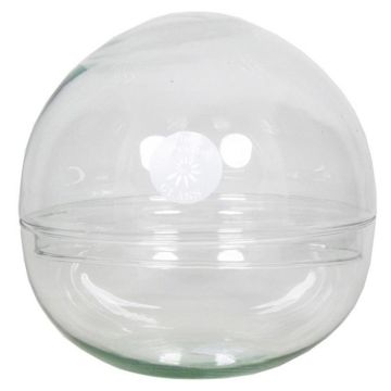 Glass succulent terrarium BRYSON, ball, clear, 8"/19,5cm, Ø7.7"/19,5cm