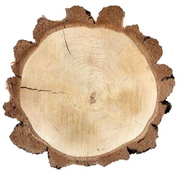 Birch wooden disc MORGANIE, natural, Ø13"-19"/34-47cm