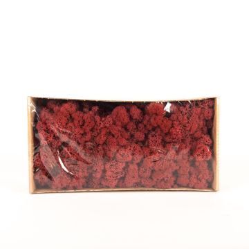 Genuine Icelandic moss SVEINBJÖRN, burgundy red, 500g