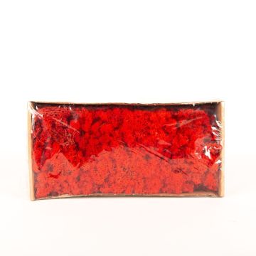 Genuine Icelandic moss SVEINBJÖRN, red, 500g