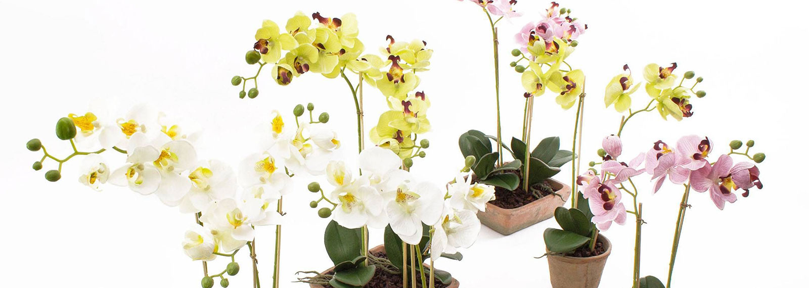 Artificial orchids